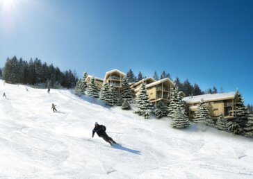Aussenansicht Alpenchalets Reiteralm Investment in Alpenchalets in Österreich