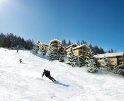 Aussenansicht Alpenchalets Reiteralm Investment in Alpenchalets in Österreich