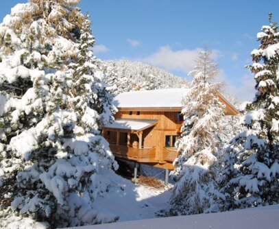 Chalet und Bäume Winter Chalet und Bäume Winter